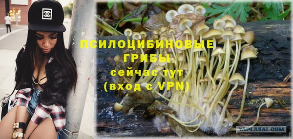 PSILOCYBIN Балахна