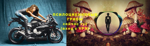 экстази Щигры