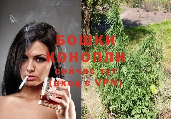 PSILOCYBIN Балахна