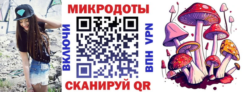 Псилоцибиновые грибы Psilocybine cubensis  Кущёвская 